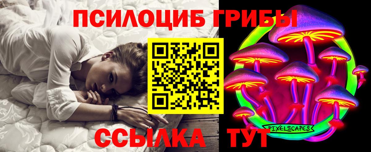 Псилоцибиновые грибы Psilocybe Чита
